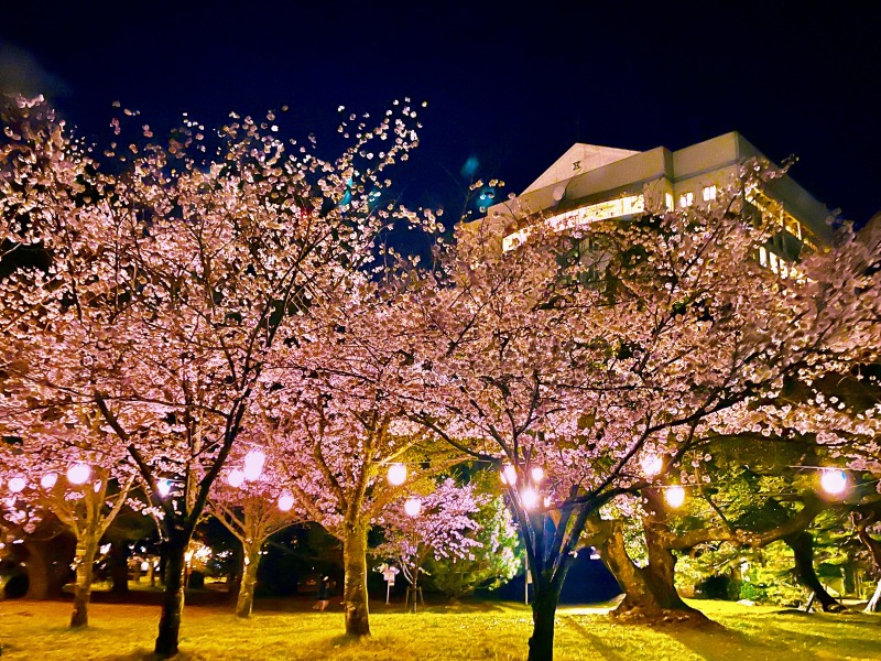 ライトアップで夜桜も！桜と吉田城の歴史を同時に楽しめる「春まつり」を開催（愛知県）