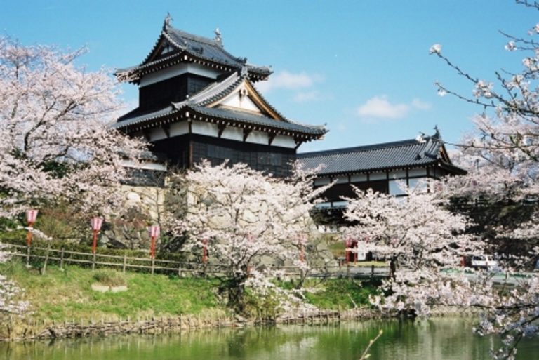 お城祭り、ミュージアムなど春の奈良を満喫！「奈良の魅力発見イベント」