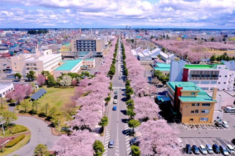 桜の早咲きを受け、十和田市春まつりの行事が一部前倒しで開催（青森県）