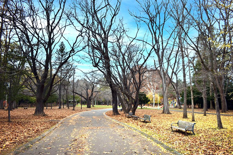 「円山公園」