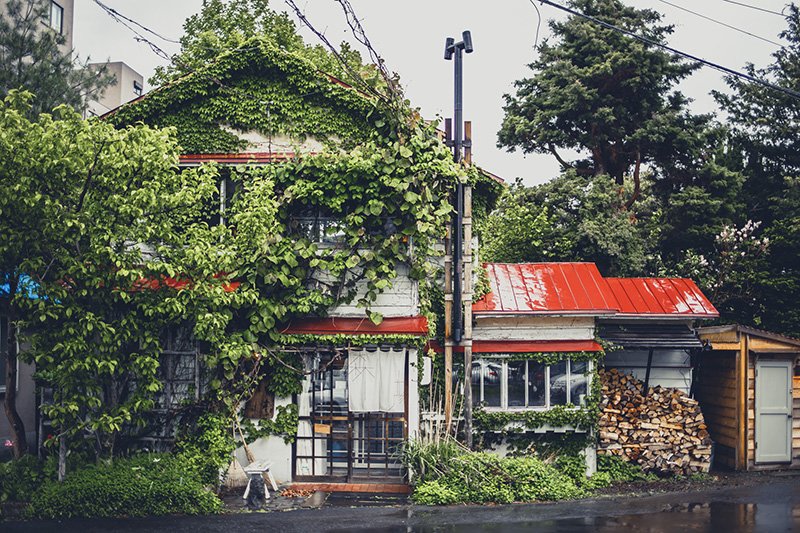 「森彦」の赤い屋根とツタが特徴の店舗外観