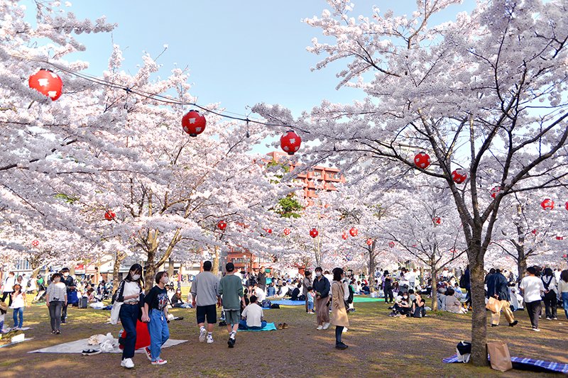 春には桜も美しい「西公園」