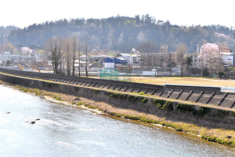 広瀬川沿いにある「評定河原公園」