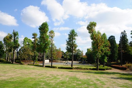 松ケ丘公園