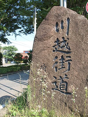 ケヤキ並木の川越街道石碑