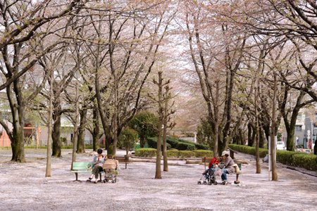 福岡中央公園