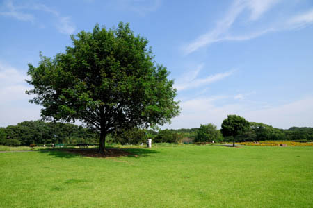 安比奈親水公園