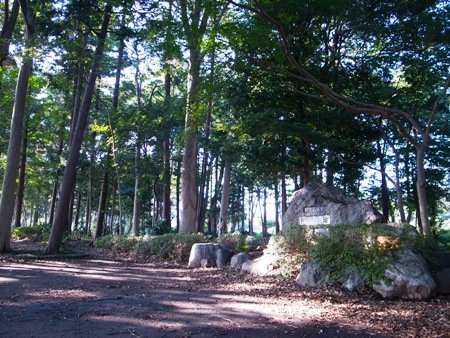 平林寺