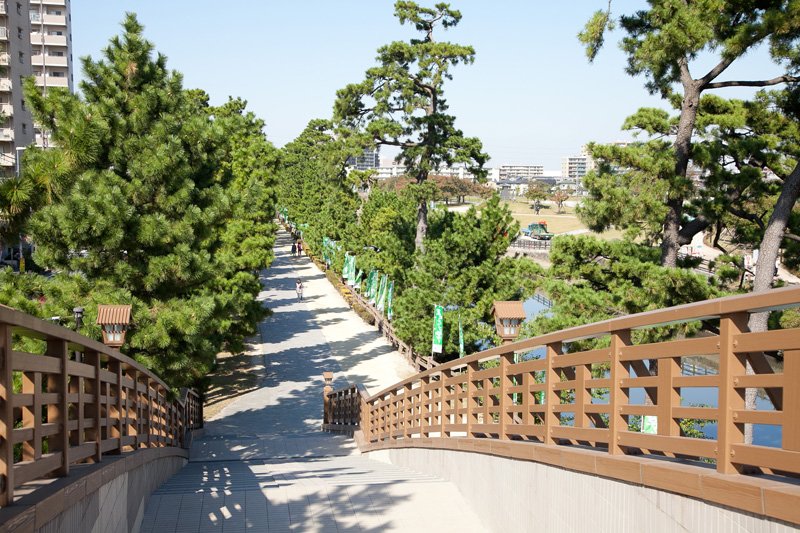 歴史の面影を感じられる「草加松原遊歩道」