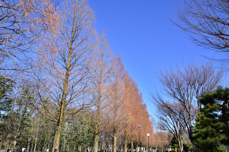 朝霞中央公園