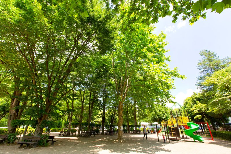 豊かな緑が広がる「朝霞中央公園」