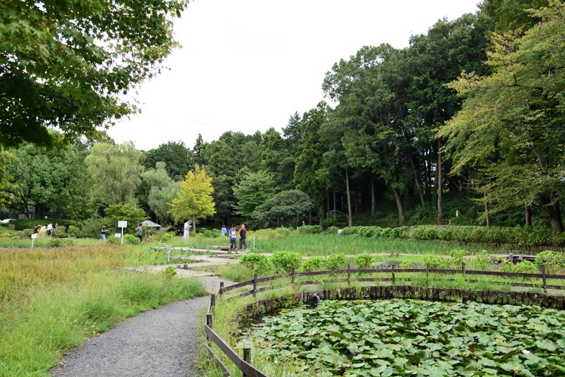 豊かな緑が広がる「上尾丸山公園」