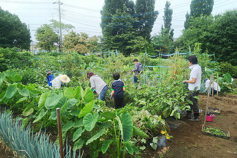 みその農園クラブ