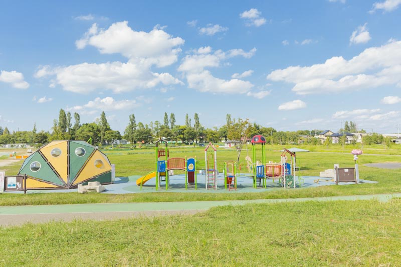 美園からすぐの場所にある「しらこばと水上公園」