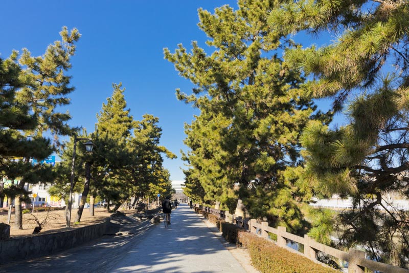 この地の歴史を感じられる「草加松原遊歩道」