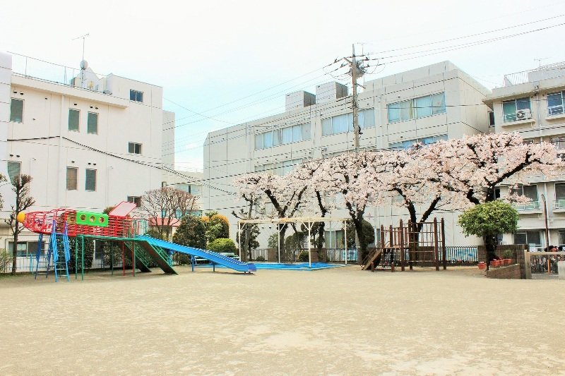 春には桜の花が楽しめる園庭