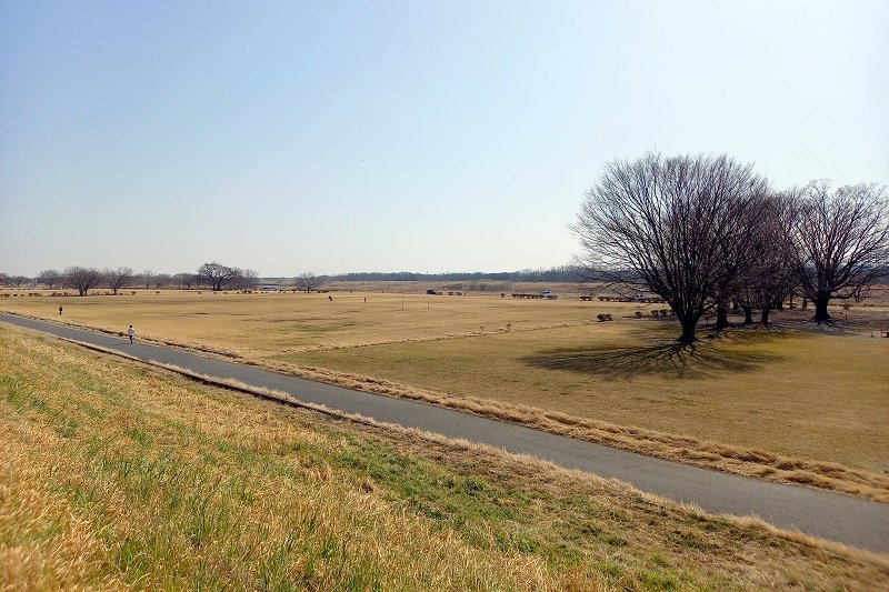 花火大会会場となる荒川河川敷