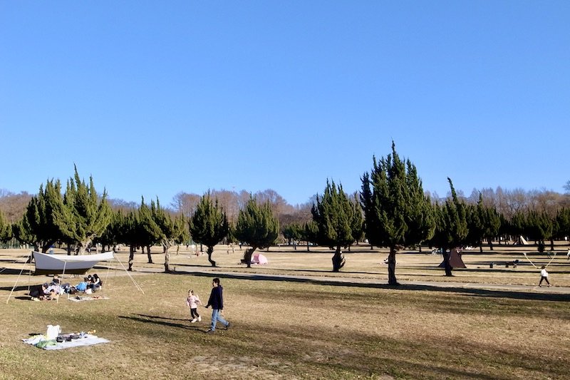 自然豊かな「秋ヶ瀬公園」