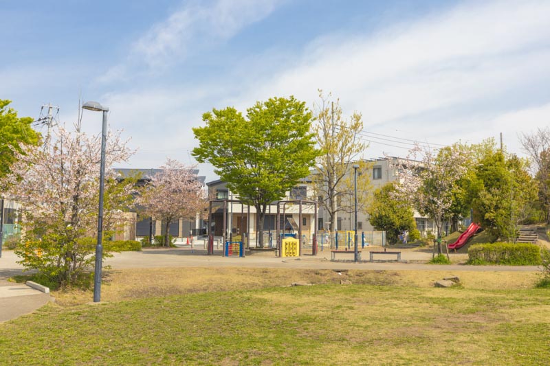 桜が彩る「（仮称）2号公園」