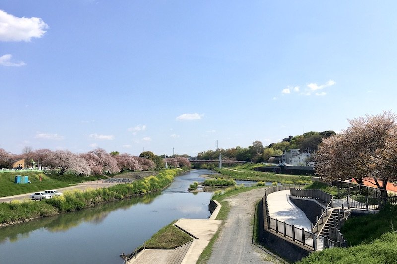 「いろは橋」から見た新河岸川の景色