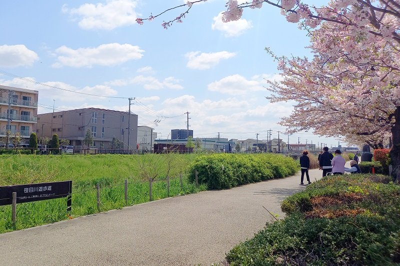 「笹目川遊歩道」