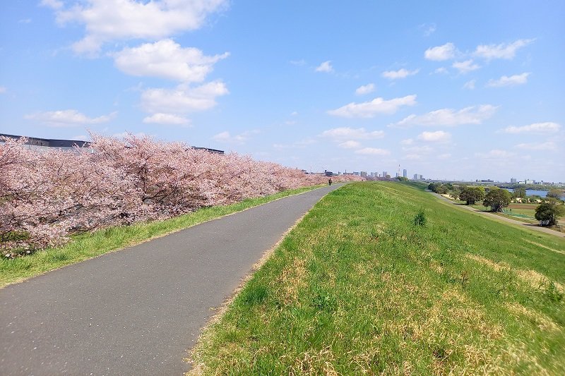 戸田桜づつみ