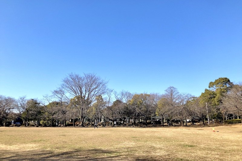 「蕨市民公園」の芝生広場