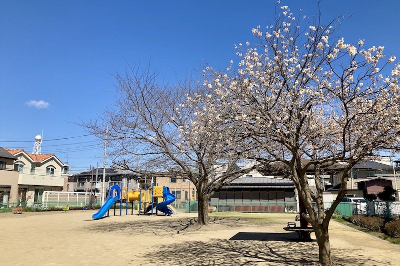 脇田新町公園