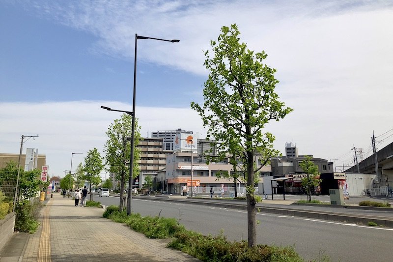 現地の広々と整備された歩道