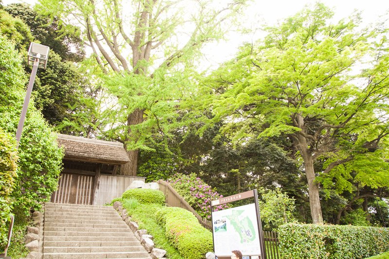 東京都心直結の「松戸」駅に近く、緑豊かな環境にも恵まれた街