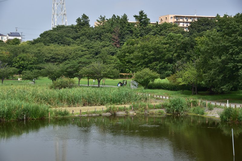 水辺の散策を楽しめる「長津川緑地 長津川親水公園」