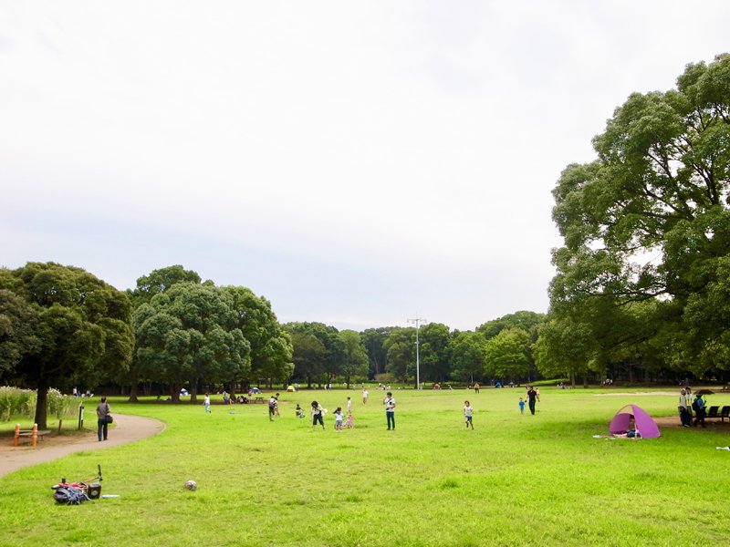 芝生広場が心地よい「千葉県立行田公園」