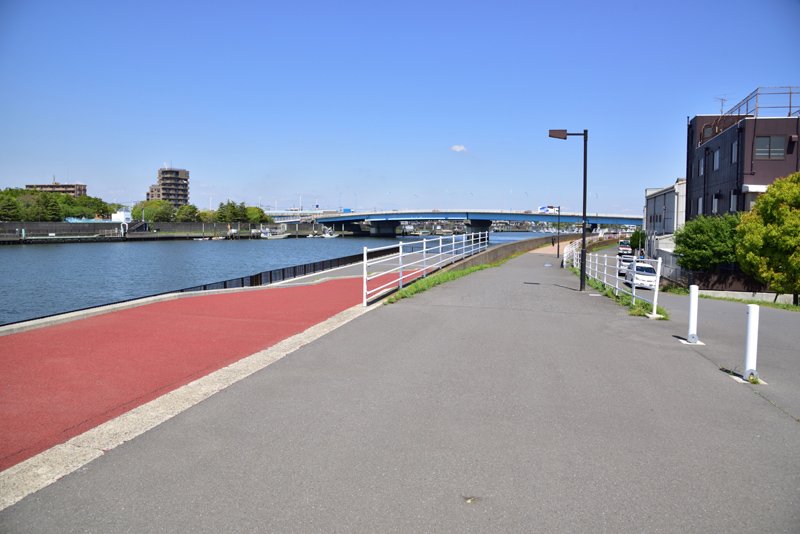 水辺の散策を楽しめる「旧江戸川遊歩道」