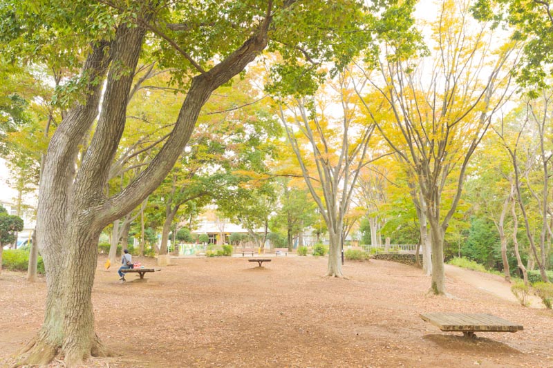 永楽台近隣公園