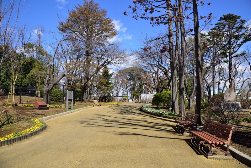 緑豊かな「須和田公園」