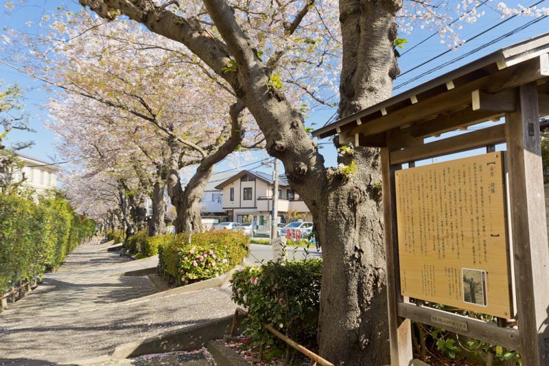 市川ゆかりの文人の解説がある「いちかわ文学の散歩道」