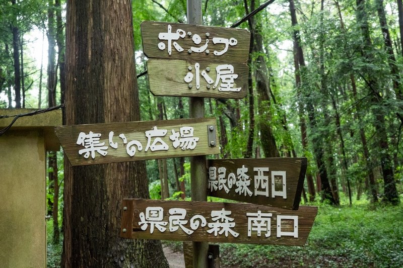 恵まれた環境を活かしてイベントも行われる