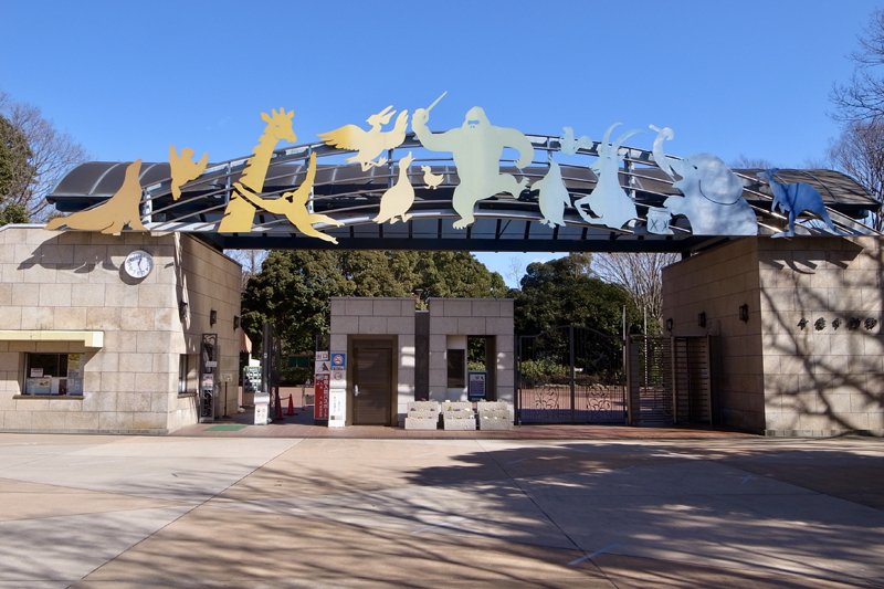 立つレッサーパンダで有名な「千葉市動物公園」