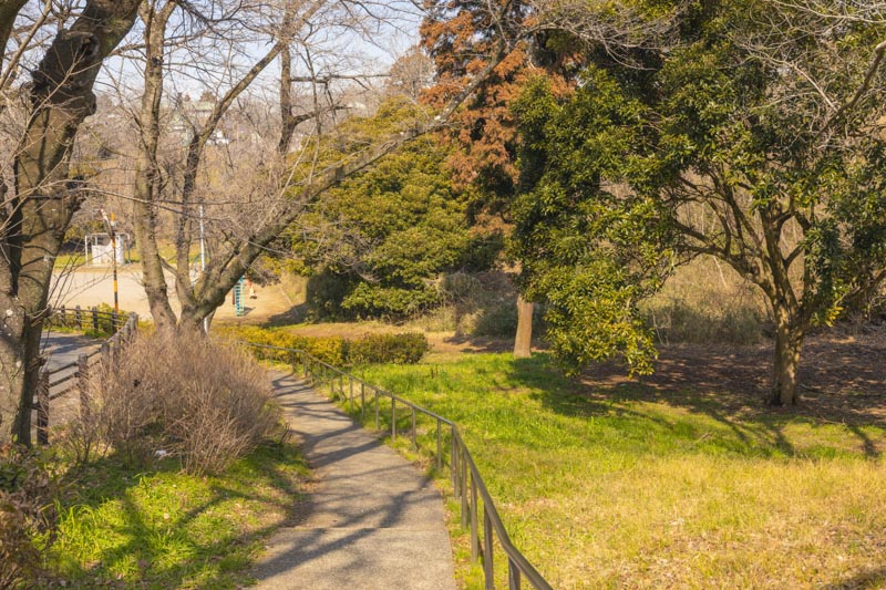 緑の中を散策できる「千葉市 松ヶ丘緑地」