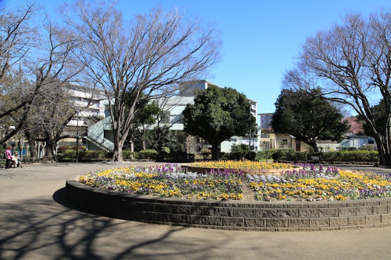 遊具も多く、子どもに人気の「北習志野近隣公園」