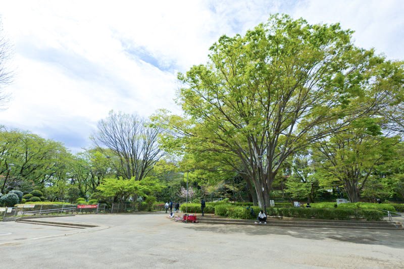 北習志野近隣公園