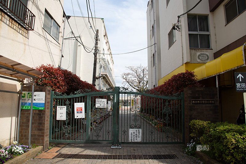 市川市立宮田小学校