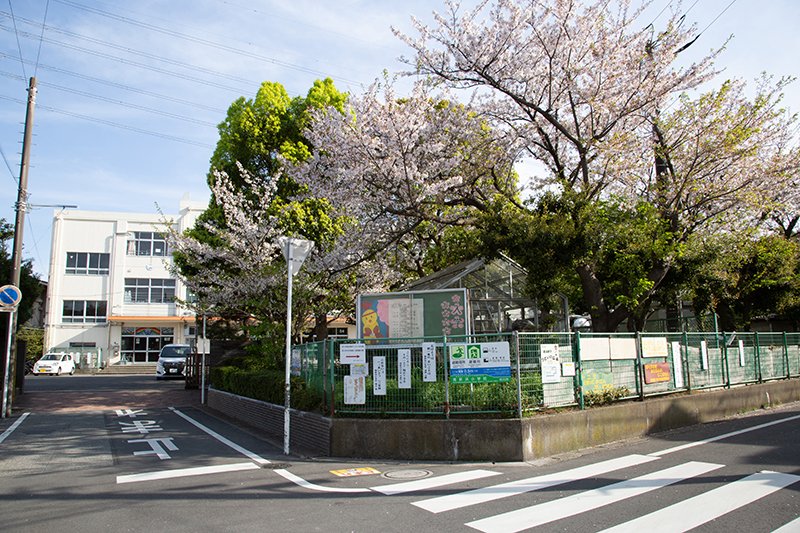 市川市立南新浜小学校