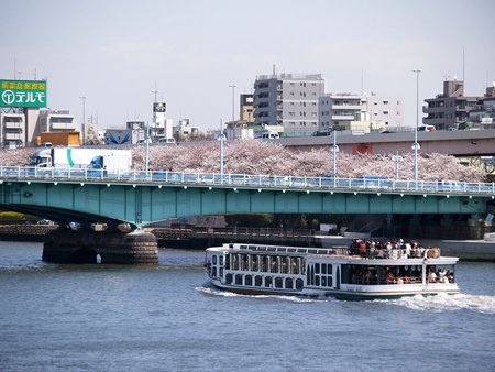 言問橋と隅田川の桜