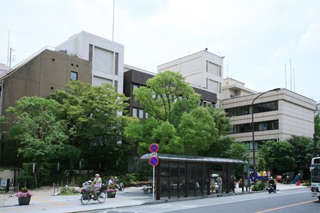 東京都江戸川区