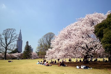 新宿御苑