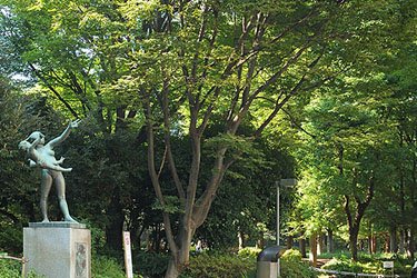 新宿中央公園