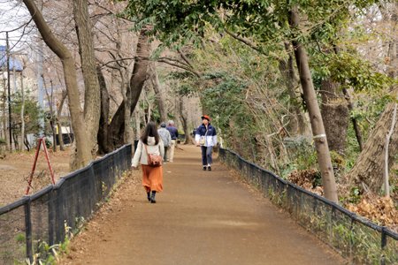 玉川上水緑道