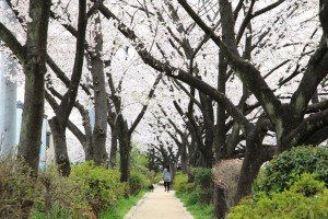 舎人緑道公園