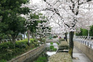 見沼代親水公園